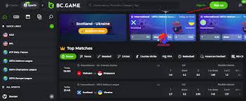 Guía Completa sobre Bcgame.Im Todo lo que Necesitas Saber