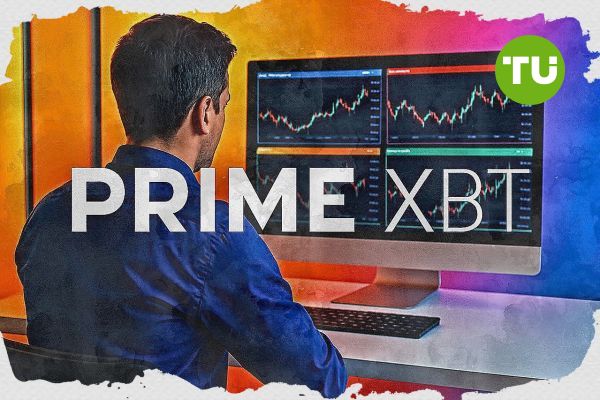 PrimeXBT vs Pocket Option A Comprehensive Comparison