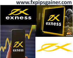 Understanding the Exness Trading Account 24