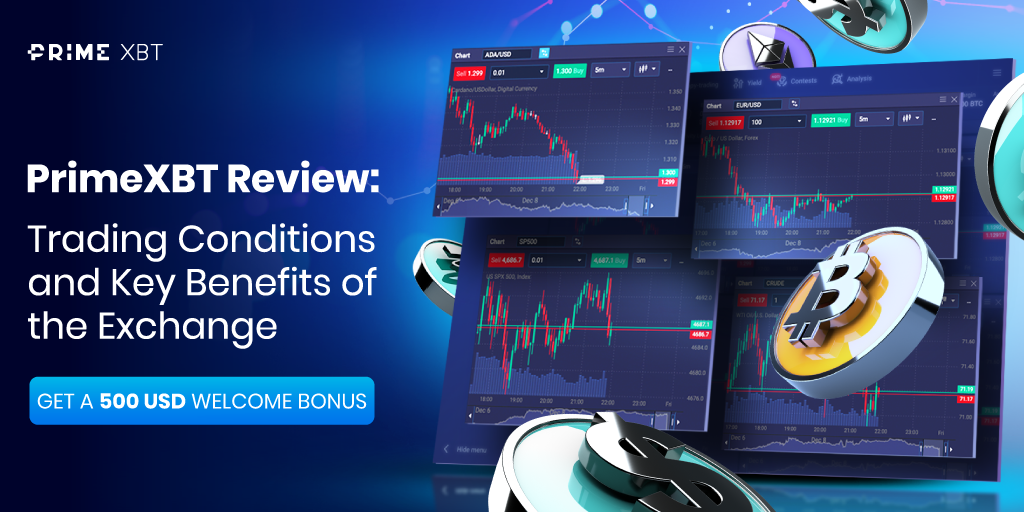 PrimeXBT vs Pocket Option A Comparative Analysis of Trading Platforms PrimeXBT vs Pocket Option A Comparative Analysis of Trading Platforms