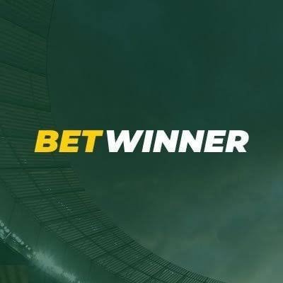 Discover the Thrills of Baji Live online cricket betting