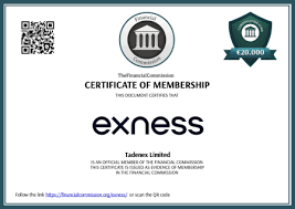 Exness Withdrawal Review Understanding the Process and Options