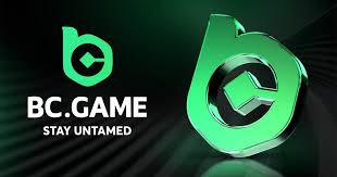 Discover the Exciting World of BC Co Casino Your Ultimate Gaming Experience