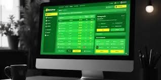 Explore the BetWinner Betting Platform Your Gateway to Winning