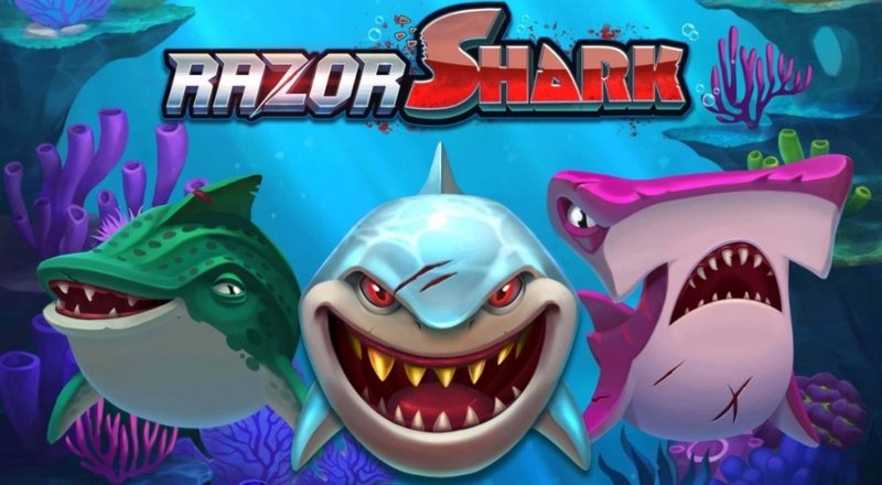 Razor shark - Guide étape par étape pour jouer à Razor Shark sur BonusHunt