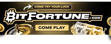 Mastering Bitfortune Live Gaming Your Complete Guide