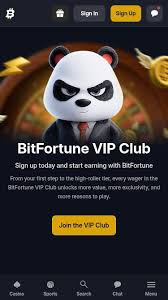 Understanding How USDC Works at Bitfortune -1273354543