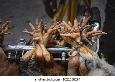Een Uitgebreide Gids Voor Het Spel Chicken Road Casino in Netherlands
