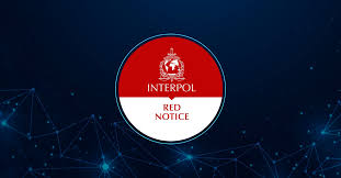 Interpol Law Firm Navigating Global Legal Challenges Interpol Law Firm Navigating Global Legal Challenges
