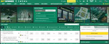 In-Depth BetWinner Review Features, Bonuses, and User Experience