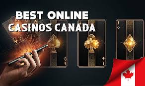 The Rise of Live Online Casinos in Canada A Comprehensive Guide The Rise of Live Online Casinos in Canada A Comprehensive Guide